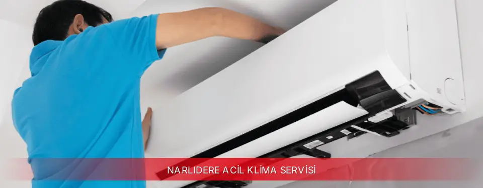Narlıdere İlçemi Viessmann Acil Klima Servisi