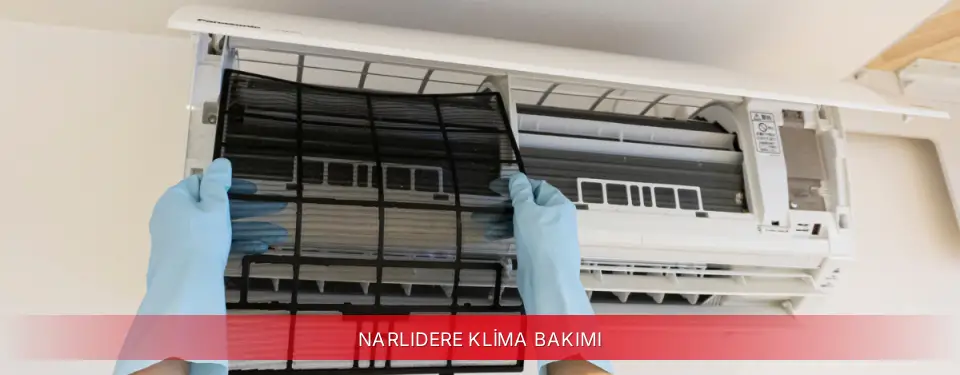 Narlıdere İlçemi Viessmann Klima Bakımı
