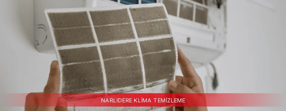 Narlıdere İlçemi Viessmann Klima Temizleme